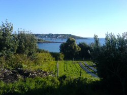 Hugh Town from across the bay.