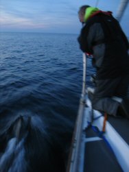 Speaks with Dolphins...