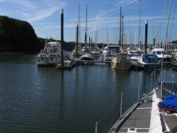 Neyland Marina