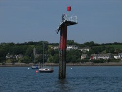 It wasn't me - honest.