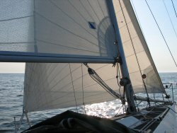 Full sail set and drawing.