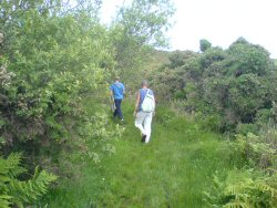 Leafy walk to Port Erin from Port St Mary.
