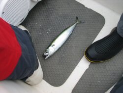 Hmmm. We'll need a few more of these.