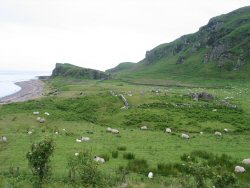 No Sunday service I'm afraid.