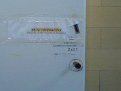 Bute Victoriana - condoms are now unavaliable!