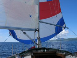 The first few minutes of a three hour spinnaker run.