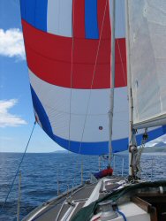 Spinnaker - still there, still behaving.