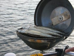 Fish supper, mackerel and horseraddish sauce.