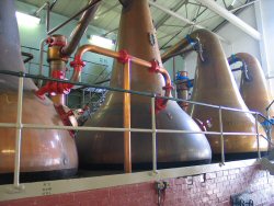 The stills at Lagavulin.