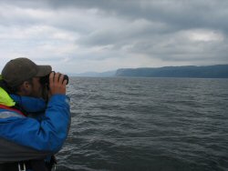 Ben eyes civilisation.