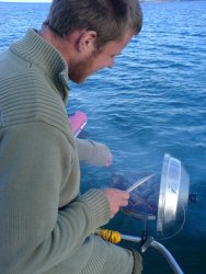 Mmmmm, saus-ag-es...