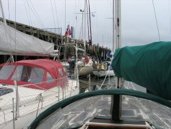 Busy here - but it was busier still in the little marina.