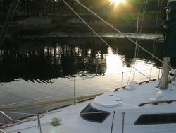 Seal in the sunshine.