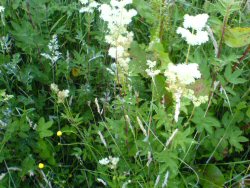 Looking toward the ground.